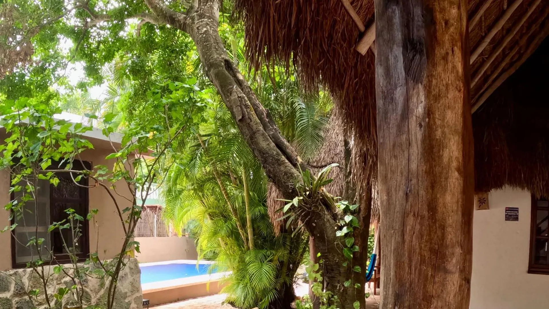 Apart Hotel Casaejido Playa del Carmen